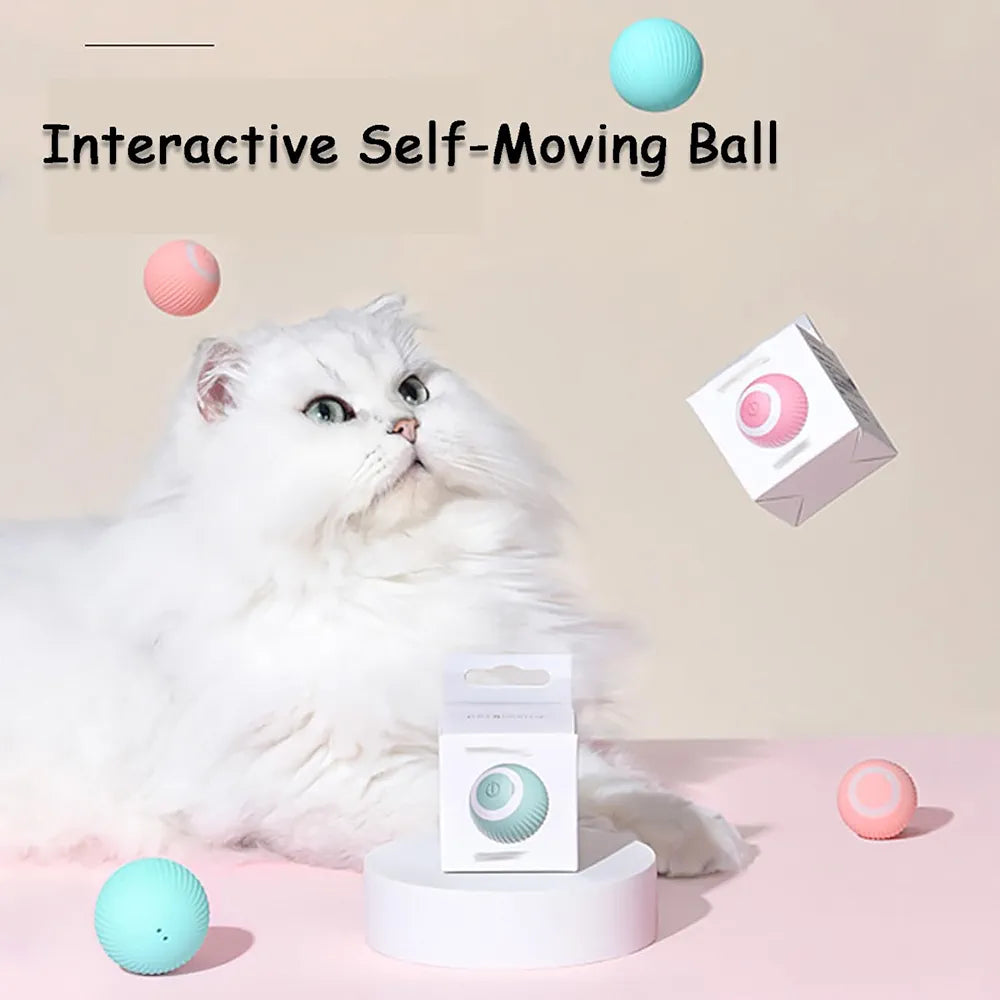 Pelota para gatos en uso